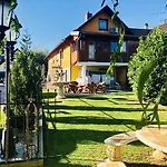Europa Zum Gruenen Baum 게스트하우스 3*