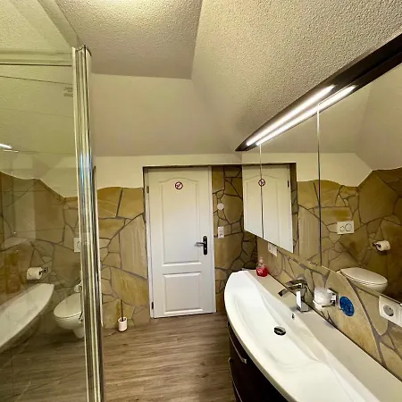 Pensión Europa Zum Grünen Baum Rust