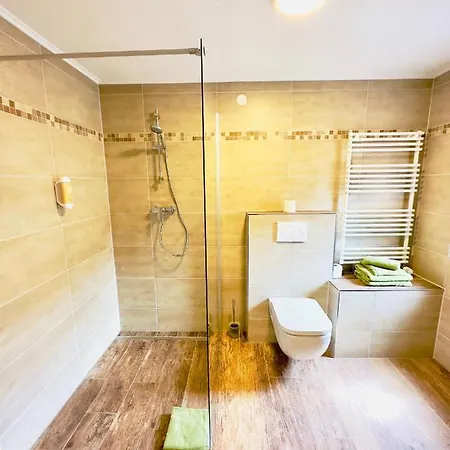 Europa Zum Gruenen Baum 3* Rust