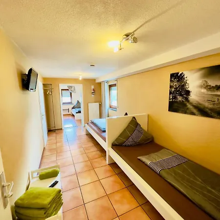 Europa Zum Grünen Baum Pensión Rust