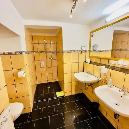 Europa Zum Grünen Baum Pensión