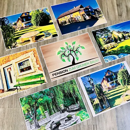 Europa Zum Gruenen Baum Vendégház Rust