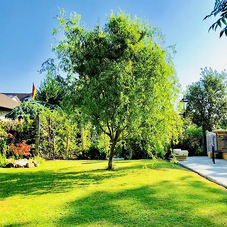 Europa Zum Grünen Baum 3* Rust