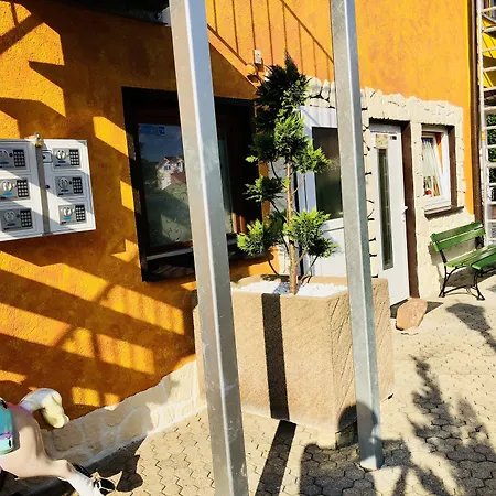 Pensión Europa Zum Grünen Baum 3*