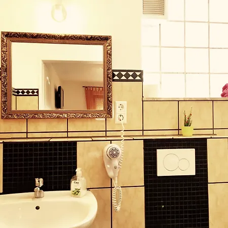 Europa Zum Gruenen Baum Vendégház 3*