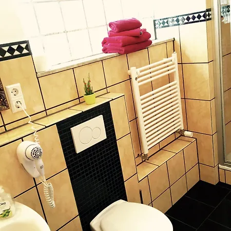 Vendégház Europa Zum Gruenen Baum 3*