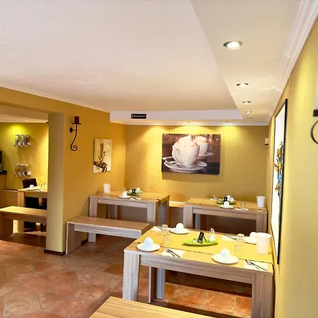 Europa Zum Gruenen Baum Rust