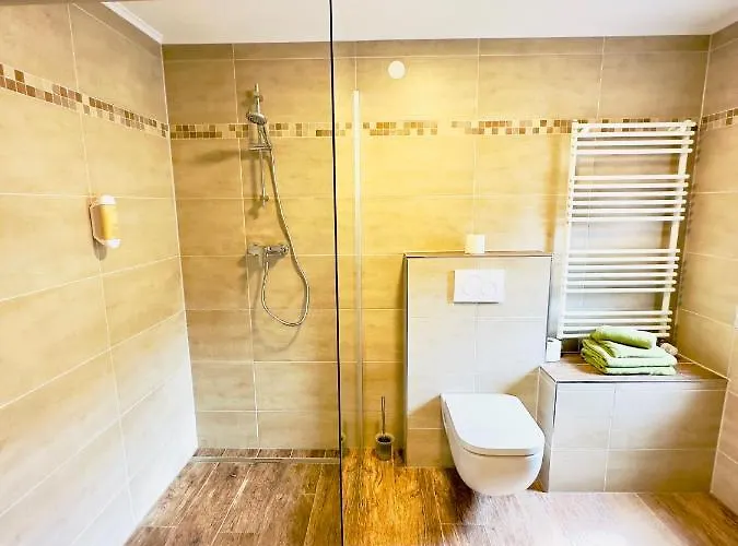 Europa Zum Gruenen Baum 3* Rust