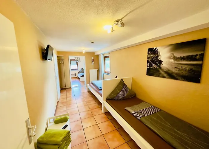 Europa Zum Gruenen Baum Gæstehus Rust