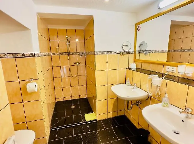 Europa Zum Gruenen Baum Gæstehus