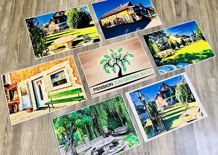 Europa Zum Gruenen Baum Gæstehus Rust