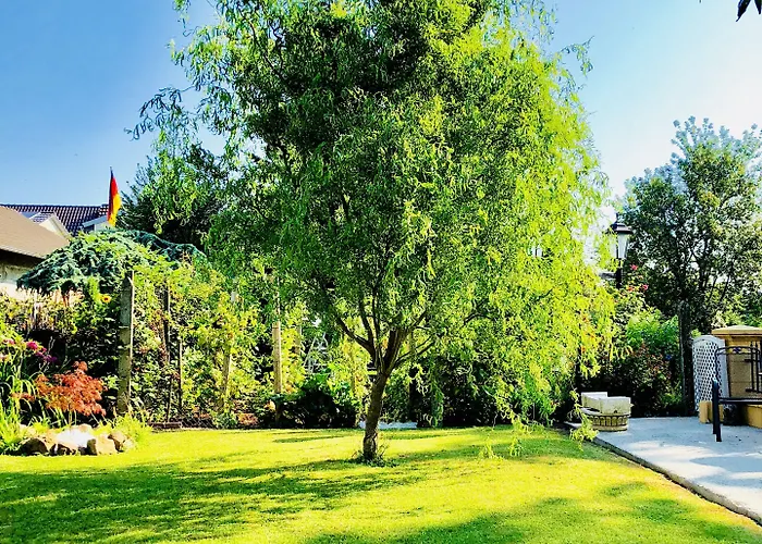 Europa Zum Gruenen Baum 3* Rust